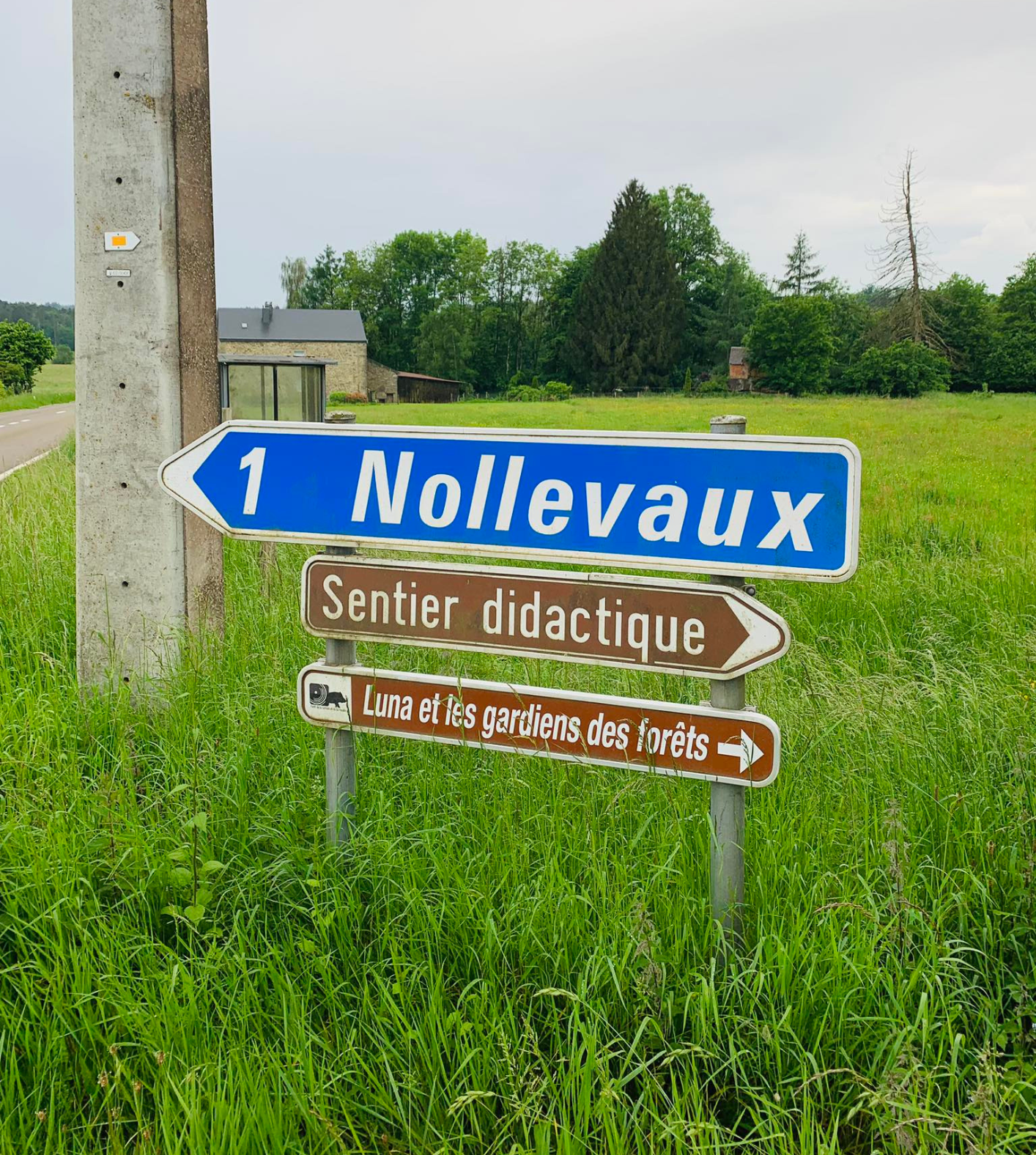 Départ Luna et les gardiens (1)