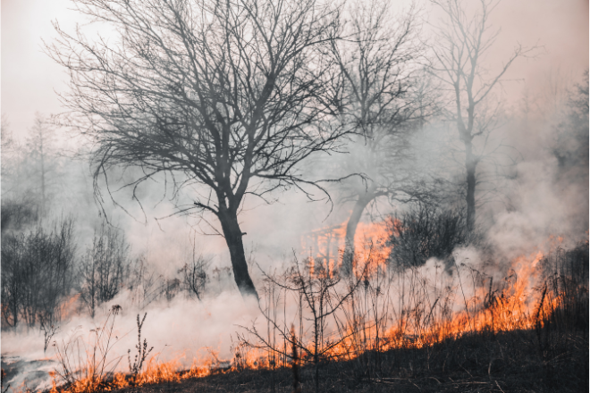 Risque d'incendie : de nouvelles mesures du 28 septembre au 1er octobre
